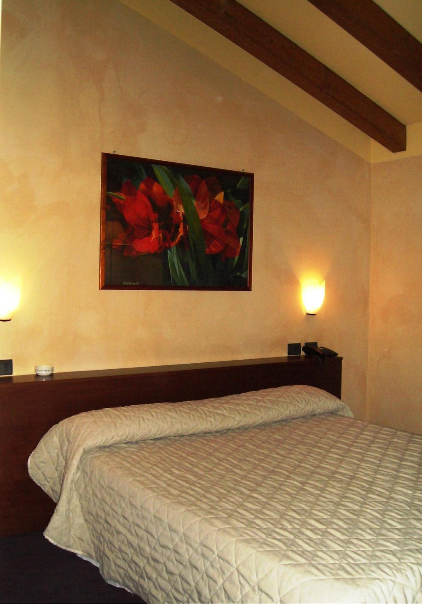 Hotel Parco Castelvetro Piacentino Kamer foto